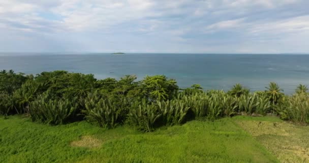 カミーギン島の農地との海岸 フィリピン — ストック動画
