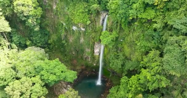 Katibawasan Falls Con Agua Fría Dulce Rodeada Exuberante Vegetación Isla — Vídeos de Stock