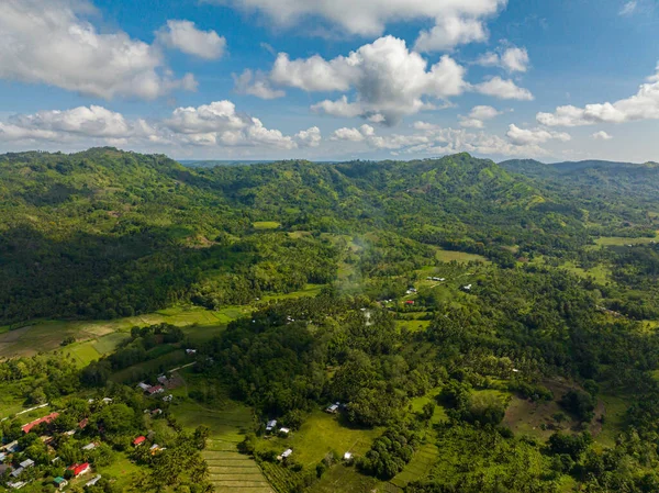 Tropical green forest in the mountains and jungle hills in the highlands of Philippines. Mindanao. Top view from above.