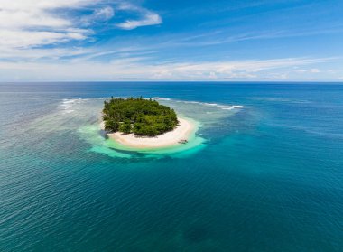 Hindistan cevizi ağaçlı beyaz kumsal manzarası. Sahildeki mercanlar. San Victor Adası. Mindanao, Filipinler. Seyahat kavramı.