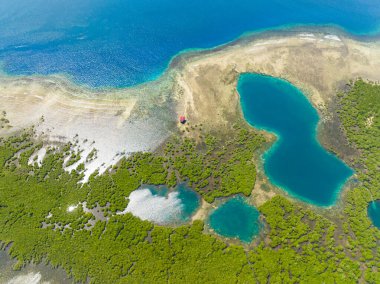 Güzel tropikal göller ve mangrovlar. Mercan kayalıkları ve gök mavisi su. Mindanao, Filipinler.