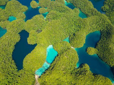 Güzel deniz suyu gölleri ve dağ tepeleri. Deniz Burnu. Bucas Grande Adası. Mindanao, Filipinler.