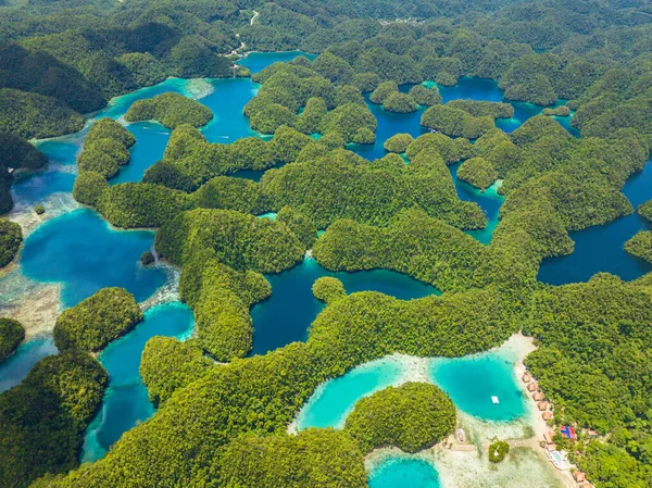 Yeşil yağmur ormanlarının ve göldeki turkuaz deniz suyunun en üst görüntüsü. Surigao del Norte. Mindanao, Filipinler.