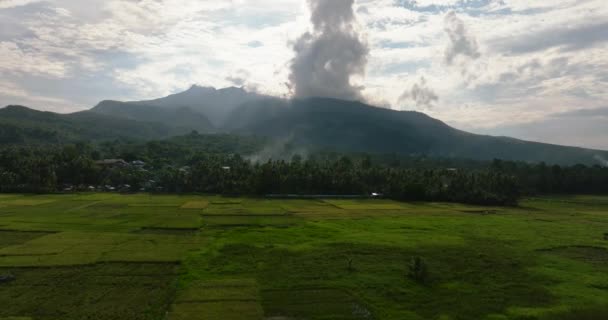 Reisfelder Und Berge Unter Suuny Wolken Camiguin Island Philippinen — Stockvideo