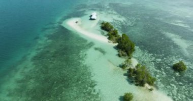 Kumsalın ve turkuaz suyun en üst görüntüsü. Mangrovlar ve mercan resifleri. Kaybolan Ada. Samal, Davao. Filipinler.