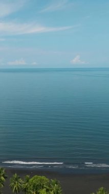 Tropikal Ada 'daki kumlu sahilde dalgalar. Kıyıya yakın hindistan cevizi ağaçları. Mindanao, Filipinler. Dikey video.