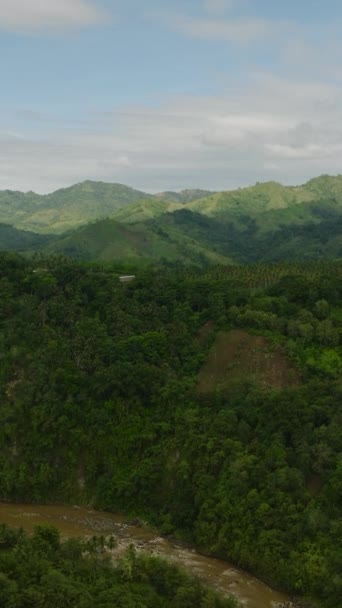 Filipinler Yağmur Ormanı Nehri Olan Tropik Bir Dağ Mindanao Dikey — Stok video