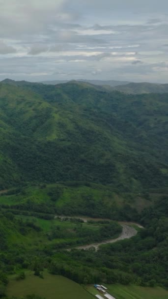 Filipinler Mindanao Nehir Pirinç Tarlaları Olan Bir Dağ Dikey Video — Stok video