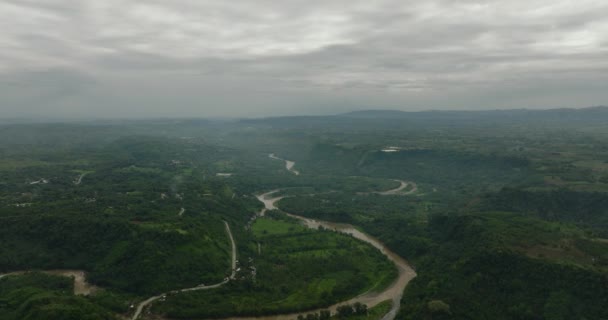 Mindanao Yeşil Ormanlarla Çevrili Güzel Bir Dağ Filipinler — Stok video