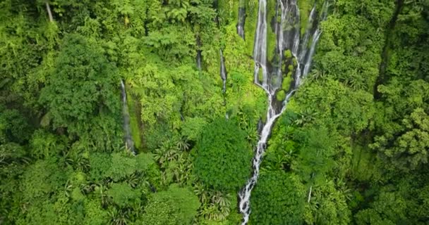 山から流れ出る美しい水 シノロム フォールズ ミンダナオ フィリピン — ストック動画