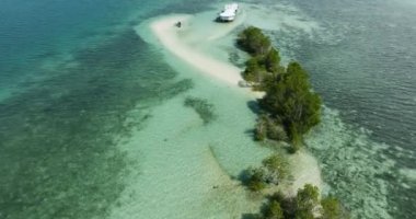 Kum yığını ve mangrov ağaçlarının drone görüntüsü. Kaybolan Ada. Samal, Davao. Filipinler.