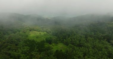Dağların üzerinde yeşil ormanlı bulutlar ve sisler. Mindanao, Filipinler.