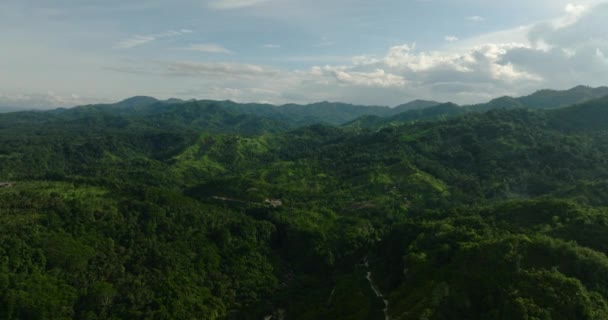 Hegyi Táj Hegycsúcsokkal Borított Erdő Hegyek Lejtői Örökzöld Növényzettel Mindanao — Stock videók