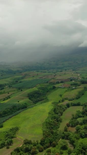 쌀밭과 바나나 농장의 농부의 필리핀 민다나오 비디오 — 비디오