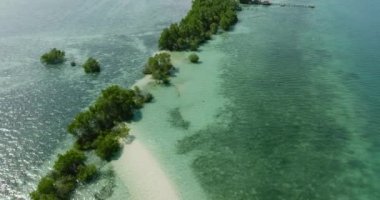 Mangrovların ve kumsalın havadan görünüşü, turkuaz su kaybolan ada. Samal, Davao. Filipinler.
