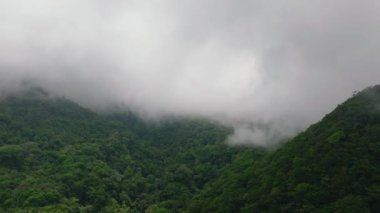 Camiguin Adası 'nda yeşil ormanı ve tepesi olan bir dağ. Filipinler.