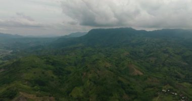 Dağ vadisi ve yeşil tepelerin tropik manzarası. Mindanao, Filipinler.