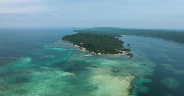 Tropikal Adada Kumlu Sahil Şeridi Gök Mavisi Okyanus Suyu Balık — Stok video