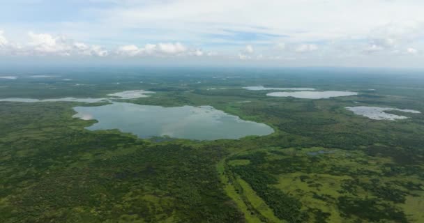 Огромная Болотистая Местность Болотных Лесов Водотоков Озер Агузанском Болоте Филиппинах — стоковое видео