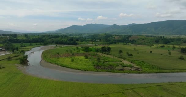 Вид Воздуха Рисовые Поля Реку Сельской Местности Минданао Филиппины — стоковое видео