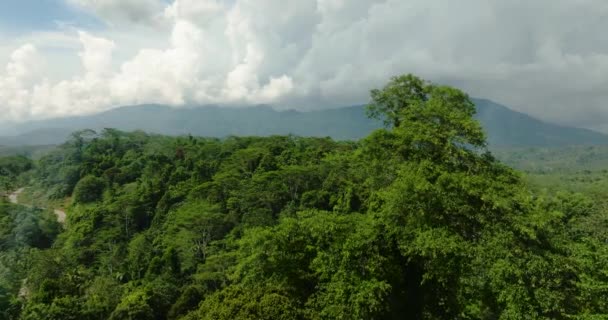 Bergslandskap Med Regnskog Och Bergsväg Mindanao Filippinerna — Stockvideo