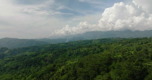 Montanha Tropical Com Vegetação Exuberante Floresta Perene Céu Azul Nuvens — Vídeo de Stock