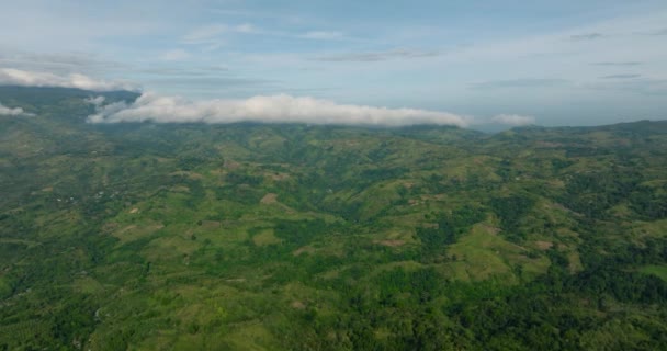 Cordillera Con Selva Tropical Cielo Azul Nubes Mindanao Filipinas — Vídeos de Stock