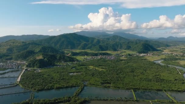 美しい沿岸都市の住宅地や川と熱帯雨林 フィリピンのスリガオ ミンダナオ島 — ストック動画