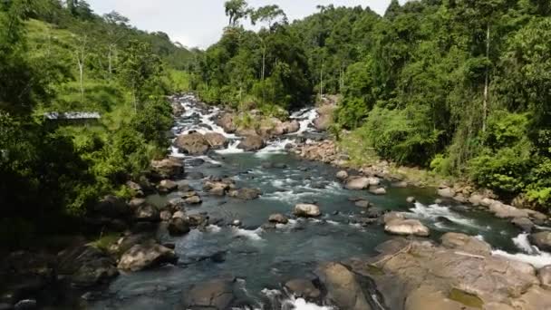 Belle Rivière Cascades Sur Montagne Tropicale Mindanao Philippines — Video