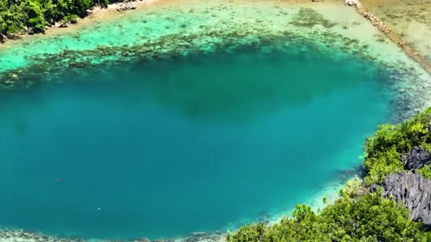 Superficie Agua Turquesa Sohoton Cove Surigao Del Norte Filipinas Vista — Vídeo de stock