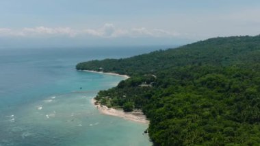 Yeşil ormanın yemyeşil olduğu tropik adanın havadan görünüşü. Kıyıdaki okyanus dalgaları ve gök mavisi su. Samal, Davao. Filipinler.