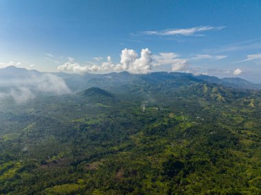 Dağlık bölgede yeşil ağaçları olan tropik bir orman. Mavi gökyüzü ve bulutlar. Mindanao. Filipinler. Hava görünümü.