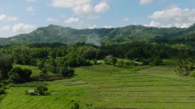 Tarım arazisi ve yeşil ormanlı dağlar. Mindanao, Filipinler.