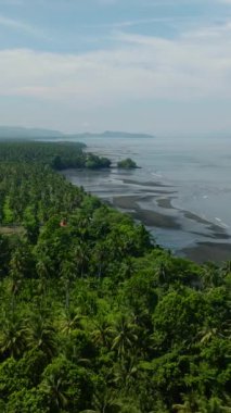 Tropikal Ada 'daki sahil kenarındaki Coconut çiftliğinin havadan görünüşü. Mavi gökyüzü ve bulutların altındaki kıyılarda dalgalar. Mindanao, Filipinler. Dikey video.