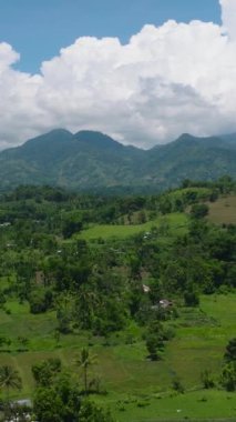 Yeşil ormanları olan dağların ve çiftlik çiftlikleri olan tarım arazilerinin en üst manzarası. Mindanao, Filipinler Dikey Görünüm.