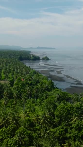 Вид Повітря Кокосову Ферму Біля Пляжу Тропічному Острові Хвилі Узбережжі — стокове відео