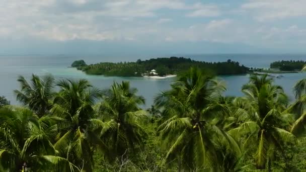 Panoráma Kilátás Trópusi Sziget Fákkal Samal Davao Fülöp Szigetek — Stock videók