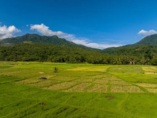 Grunty Rolne Górach Wyspie Camiguin Filipiny — Zdjęcie stockowe