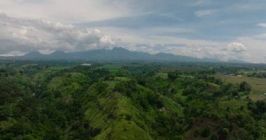 Yağmur ormanları, ağaçlar ve bulutlarla kaplı mavi gökyüzünün havadan görünüşü. Mindanao, Filipinler.