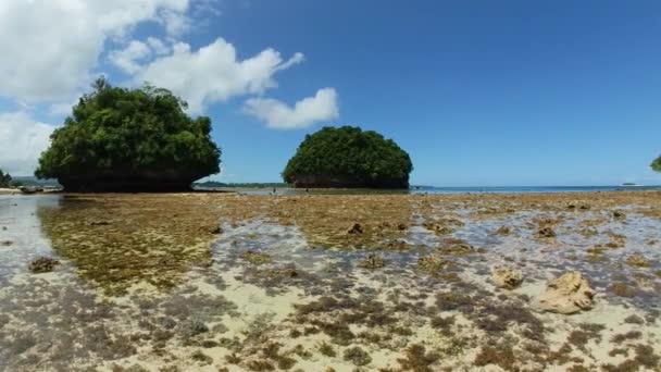 Taştan Mercanları Olan Tropik Bir Ada Britanya Adaları Surigao Del — Stok video