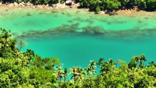 Lagoa Com Água Turquesa Transparente Sohoton Cove Bucas Grande Filipinas — Vídeo de Stock