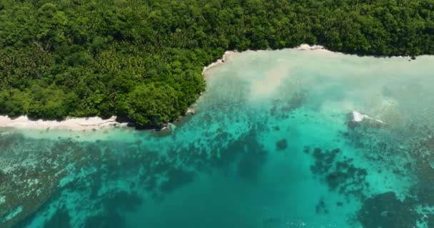Insel Mit Grünem Wald Und Küste Mit Meereswellen Und Türkisfarbenem — Stockvideo