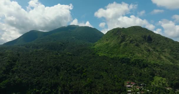Гора Зеленим Лісом Джунглями Острові Камінь Філіппіни — стокове відео