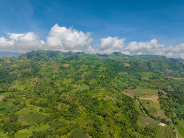 Tarım arazisi, tarım arazisi ve yeşil ormanlı dağlar. Mindanao, Filipinler.