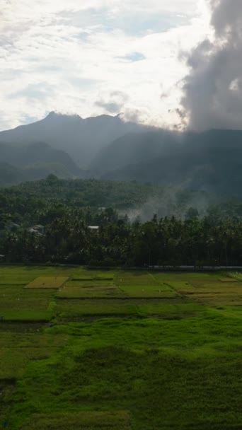 Rizières Paddy Montagne Sous Les Nuages Suuny Dans Île Camiguin — Video