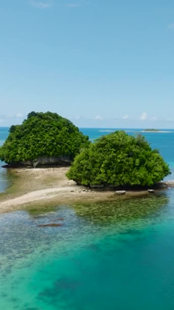 ビーチがある熱帯島のグループ ブリタニア島 フィリピン ミンダナオ 垂直ビュー — ストック動画