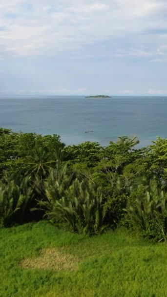 Camiguin Adası Nda Tarım Arazisi Olan Bir Sahil Filipinler Dikey — Stok video