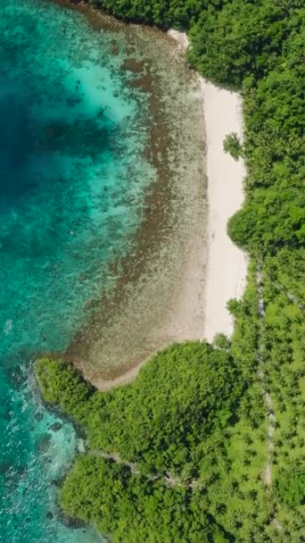 トロピカルアイランドのヤシの木と白い砂浜のトップビュー 海岸付近のターコイズ水 フィリピン ミンダナオ 垂直ビュー — ストック動画