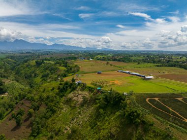 Yağmur ormanları, ağaçlar ve bulutlarla kaplı mavi gökyüzünün havadan görünüşü. Mindanao, Filipinler.