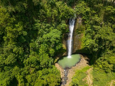 Ormanla çevrili bir dağ kanyonunda tropik şelale. Alalum Şelalesi. Mindanao, Filipinler.